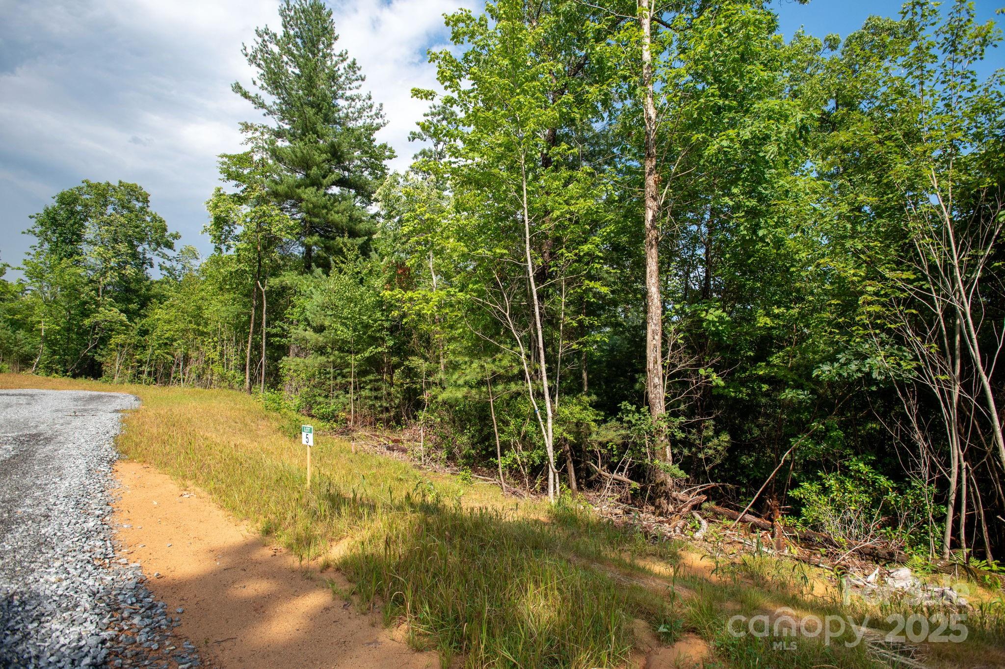 Lot # 5 Masterpiece View Drive Hendersonville NC 28739