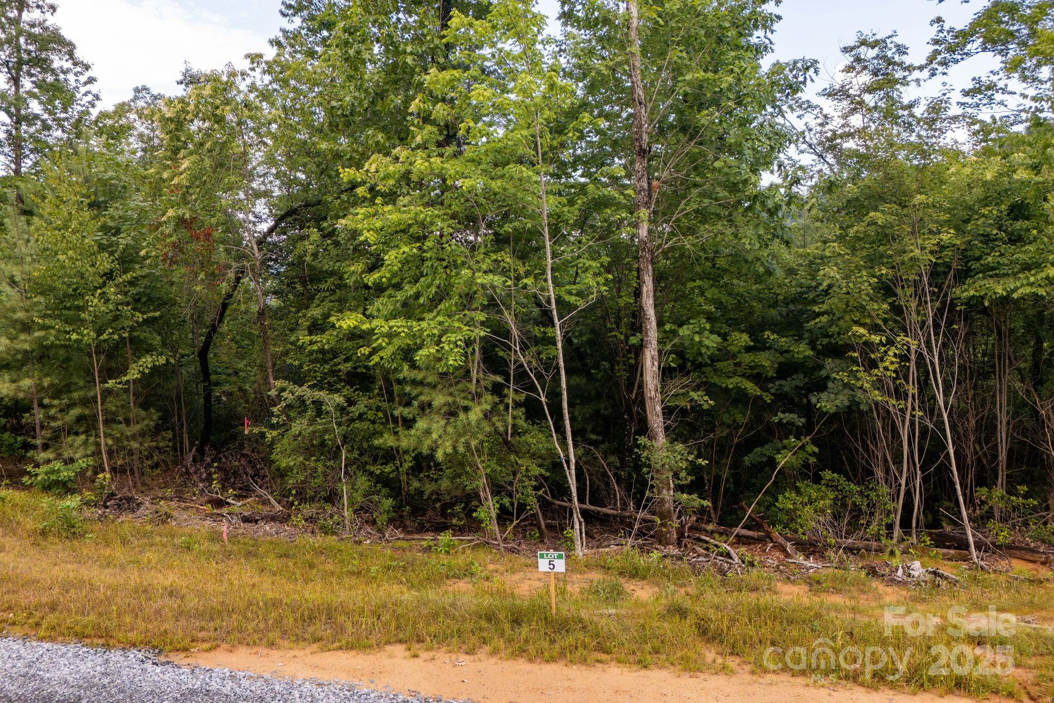 Lot # 5 Masterpiece View Drive Hendersonville NC 28739