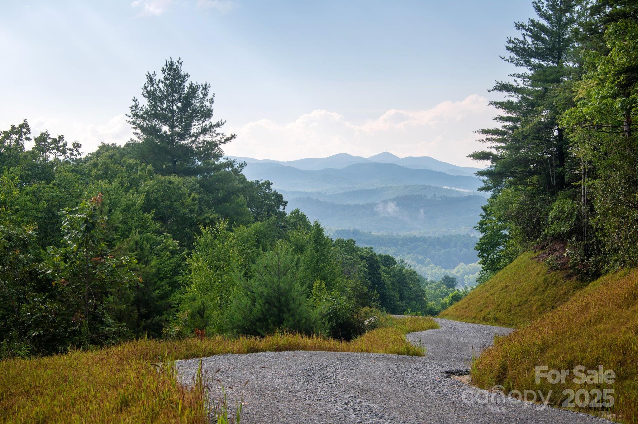 Lot # 5 Masterpiece View Drive Hendersonville NC 28739