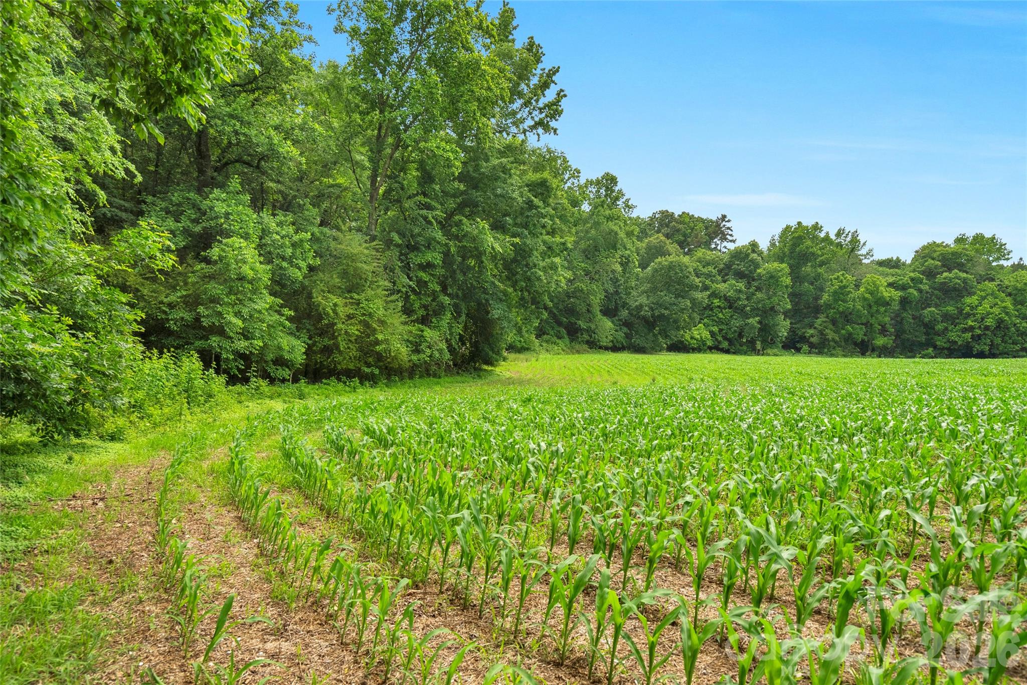 0000 Lucy Short Cut Road Marshville NC 28103