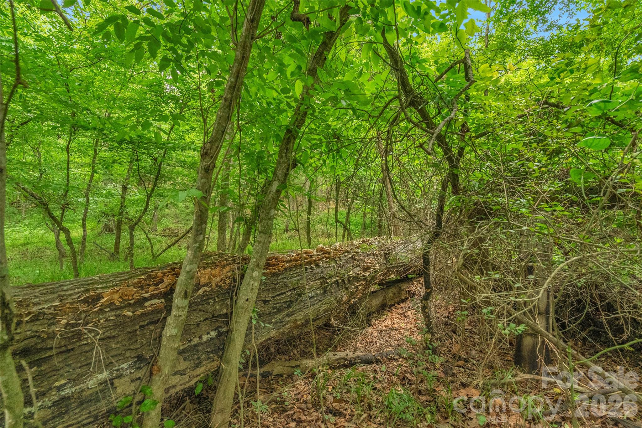 0000 Lucy Short Cut Road Marshville NC 28103