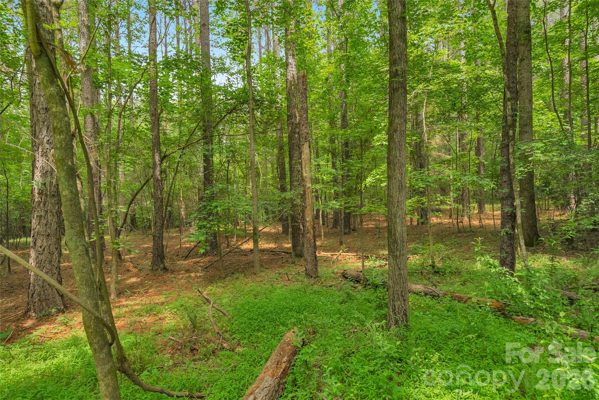 0000 Lucy Short Cut Road Marshville NC 28103