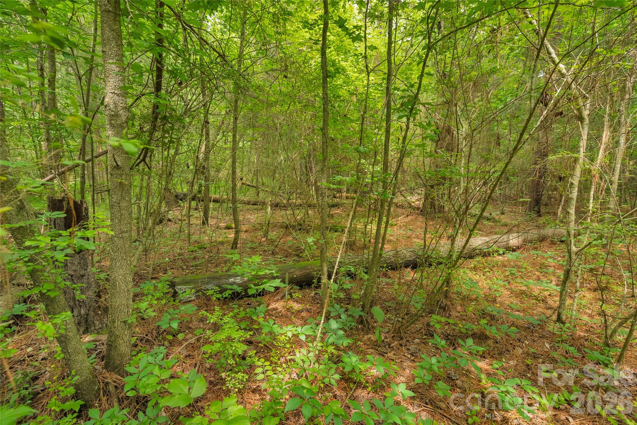 0000 Lucy Short Cut Road Marshville NC 28103