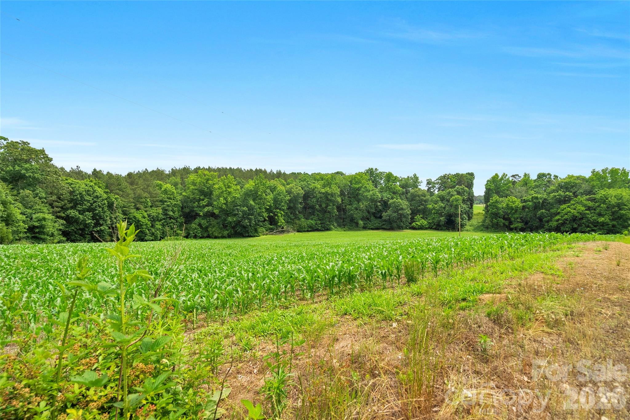 0000 Lucy Short Cut Road Marshville NC 28103