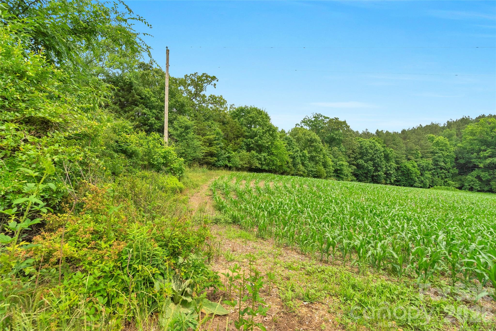 0000 Lucy Short Cut Road Marshville NC 28103
