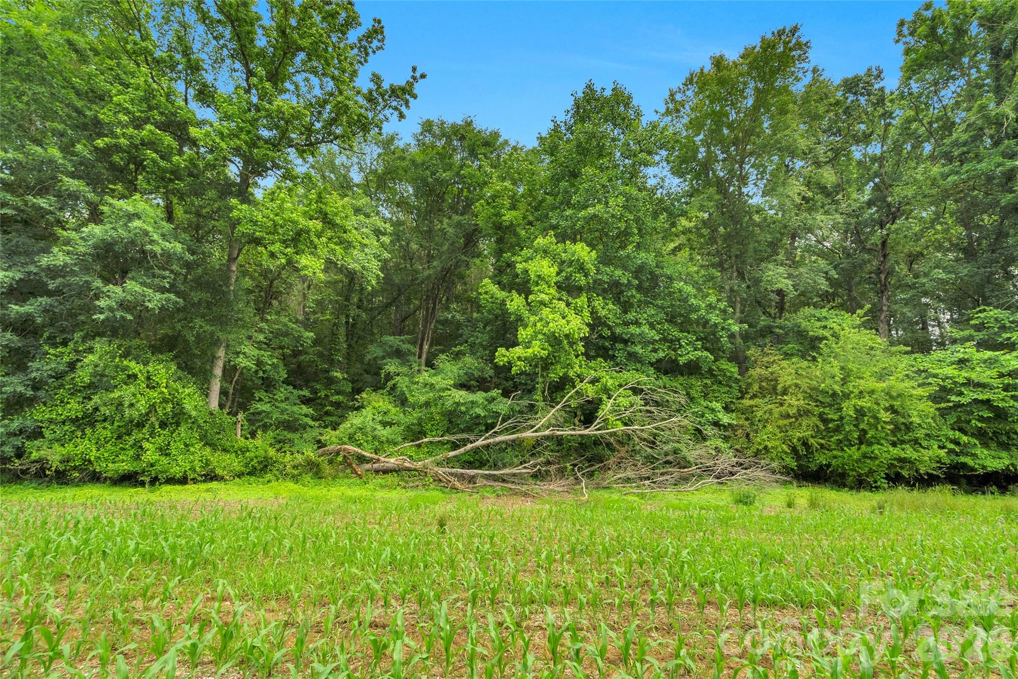 0000 Lucy Short Cut Road Marshville NC 28103