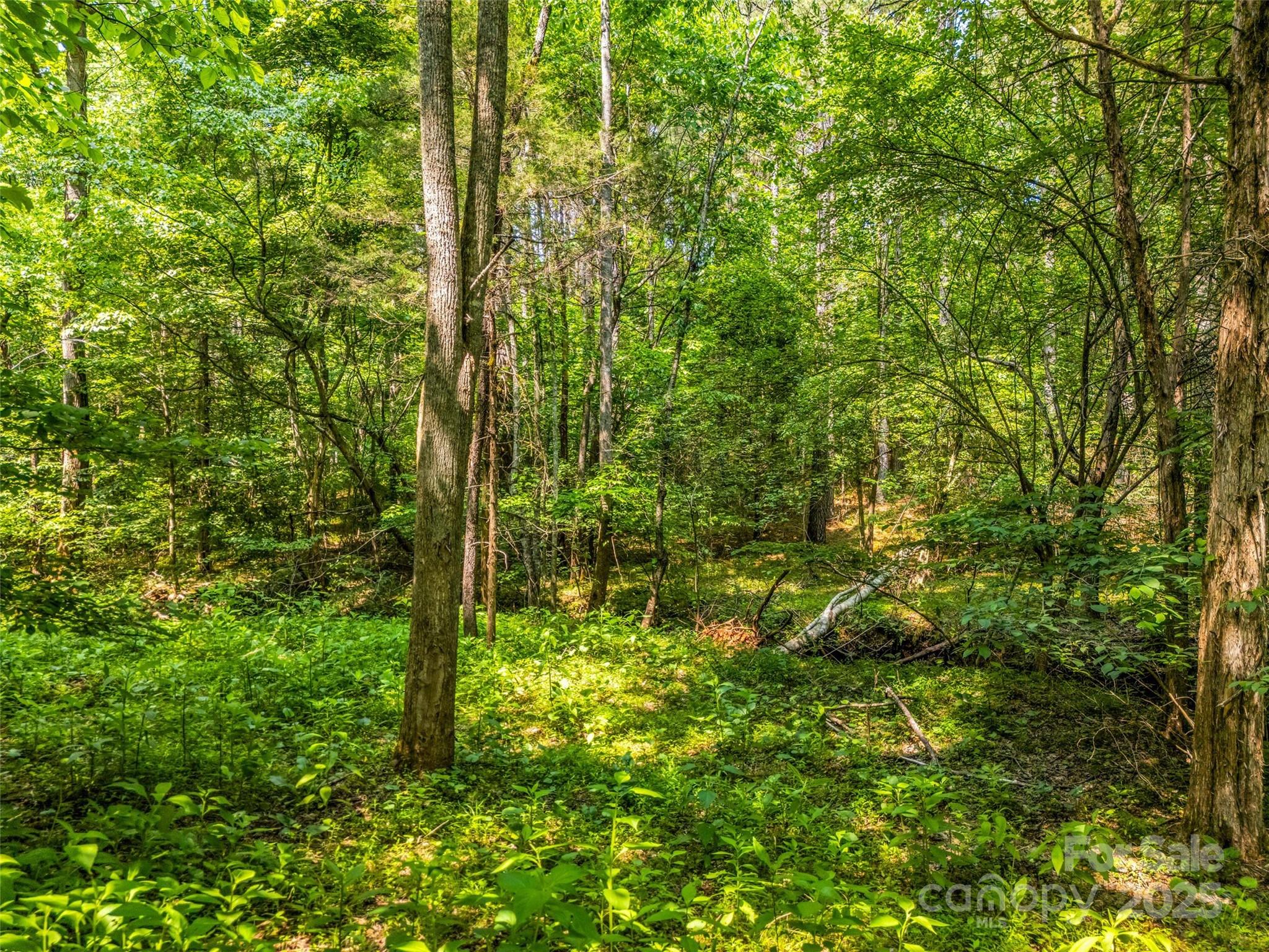 0 Creekside Circle Rutherfordton NC 28139