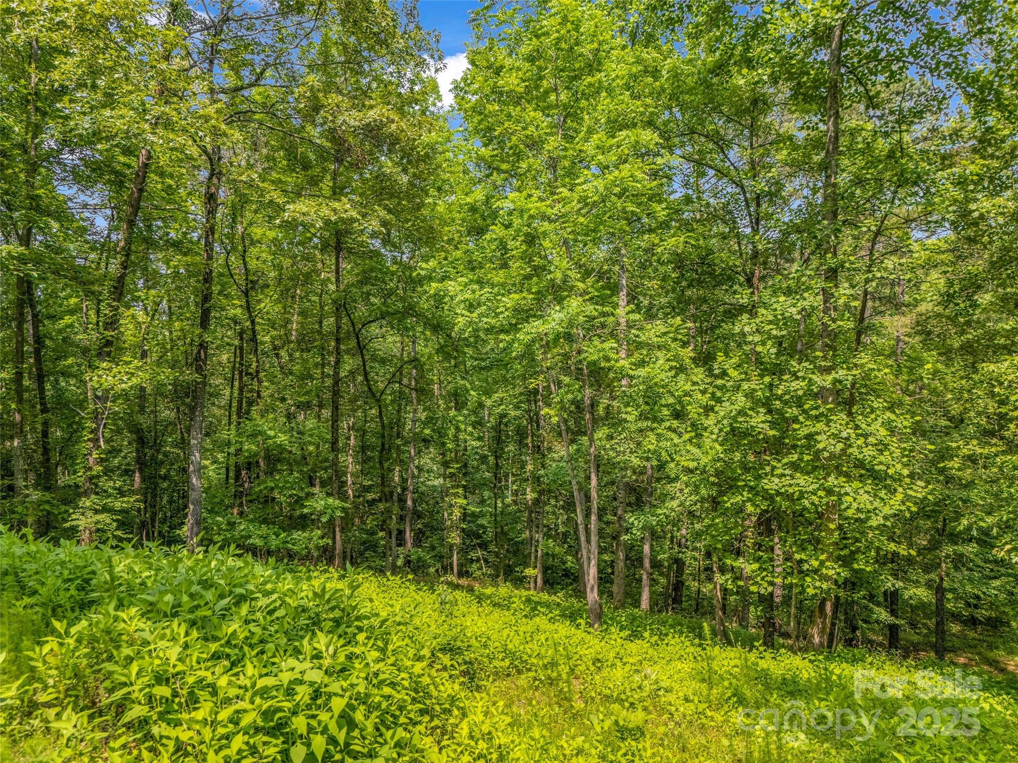 0 Creekside Circle Rutherfordton NC 28139
