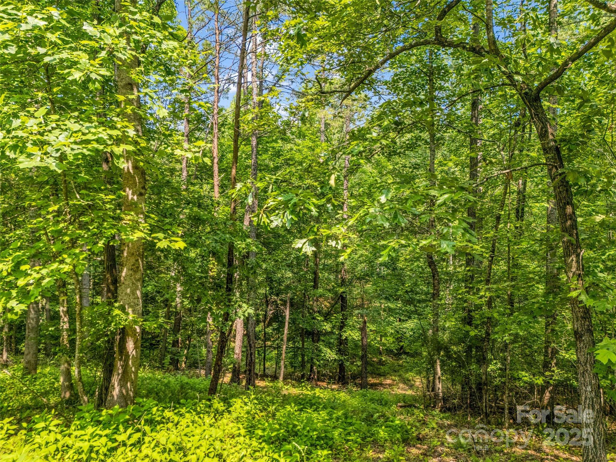 0 Creekside Circle Rutherfordton NC 28139