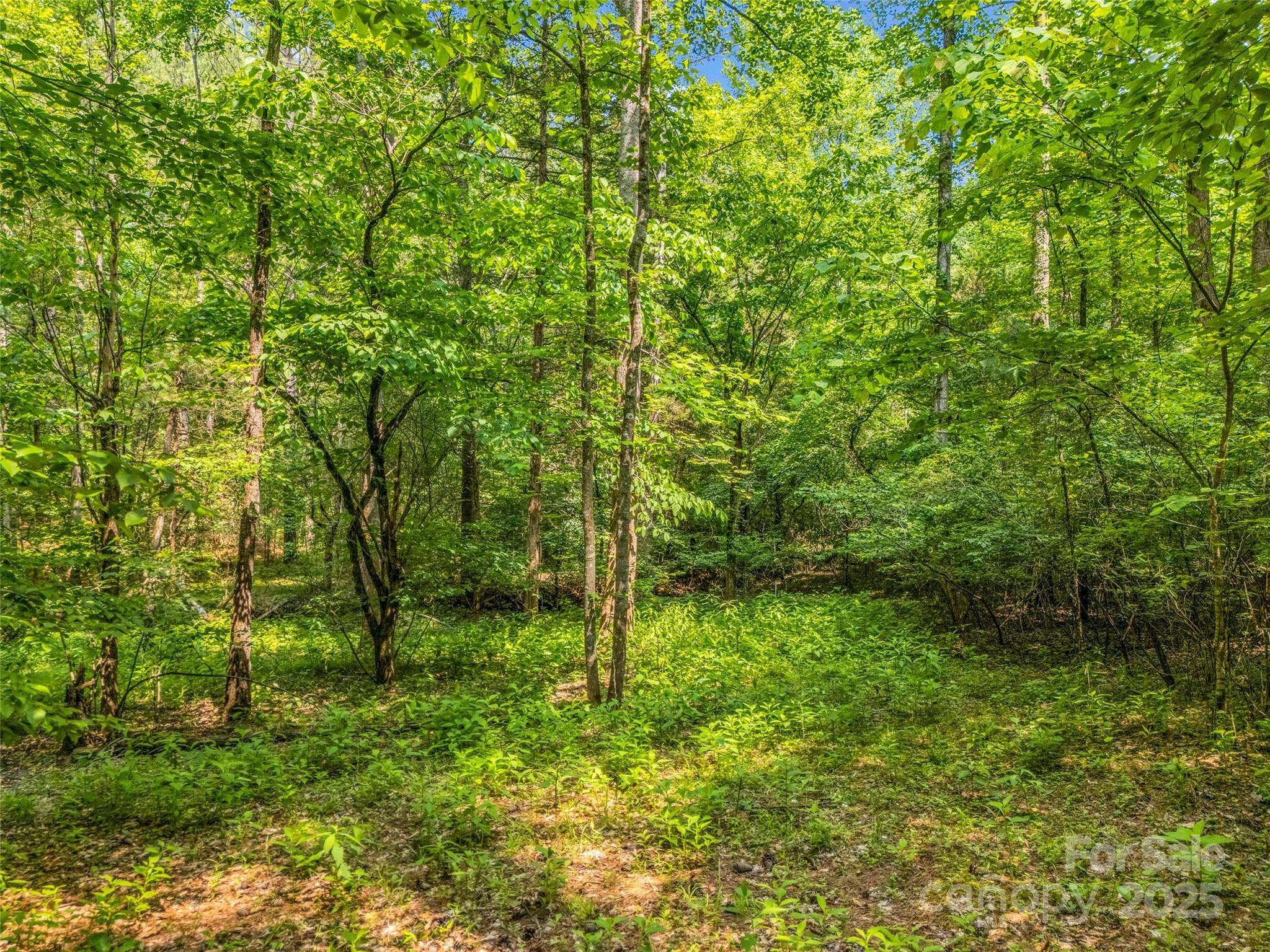0 Creekside Circle Rutherfordton NC 28139