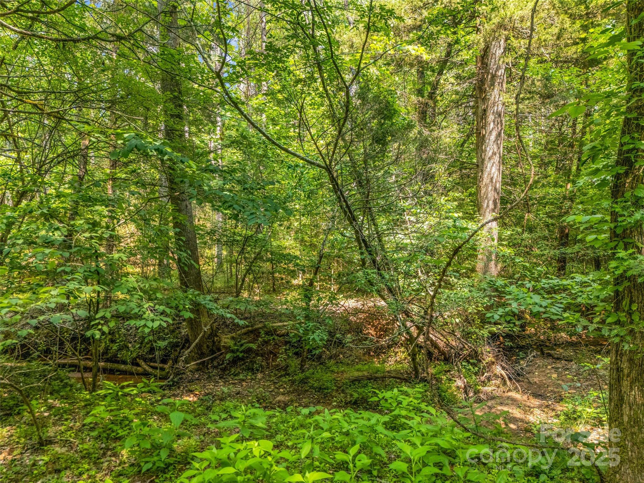 0 Creekside Circle Rutherfordton NC 28139