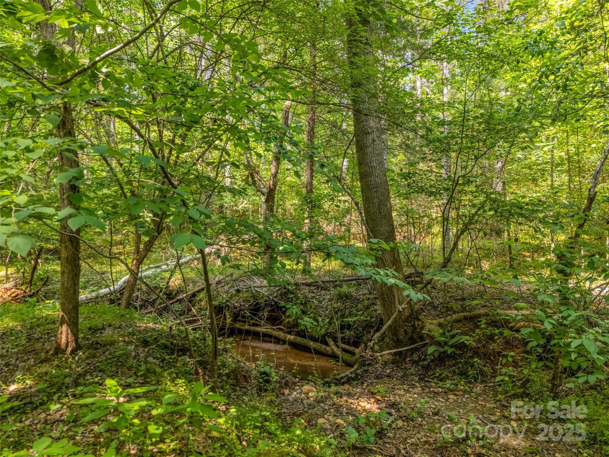 0 Creekside Circle Rutherfordton NC 28139