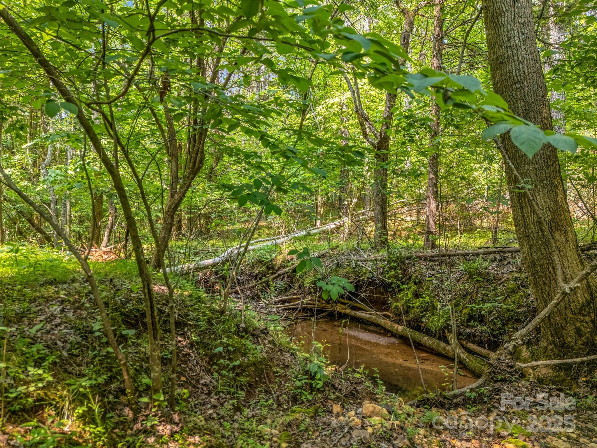 0 Creekside Circle Rutherfordton NC 28139