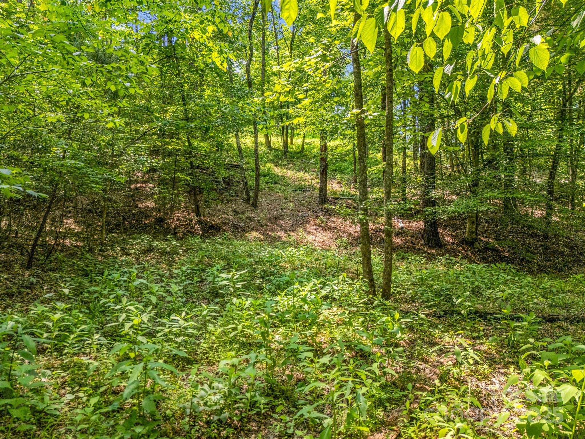 0 Creekside Circle Rutherfordton NC 28139