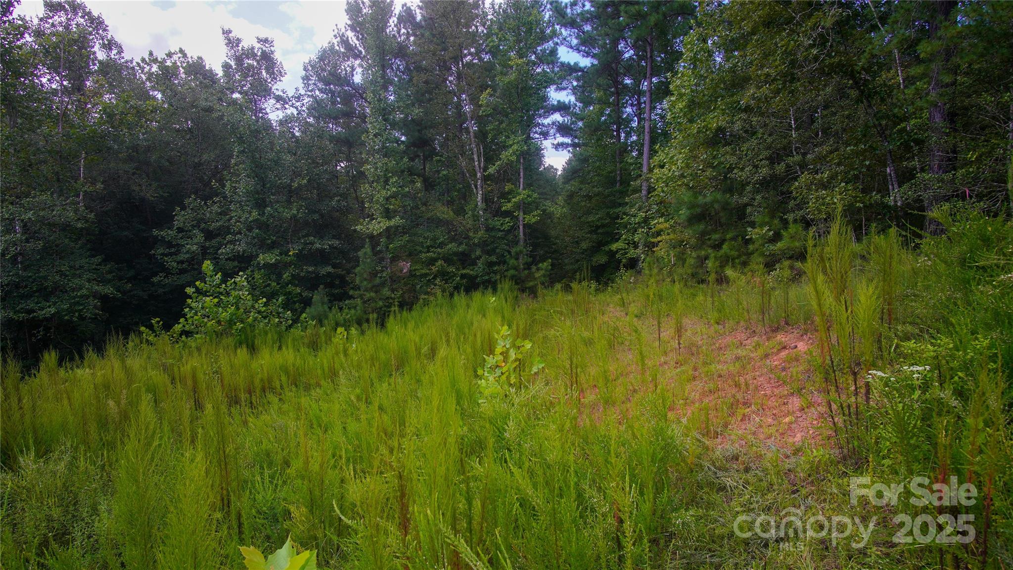 00 Scenic Drive Granite Falls NC 28630