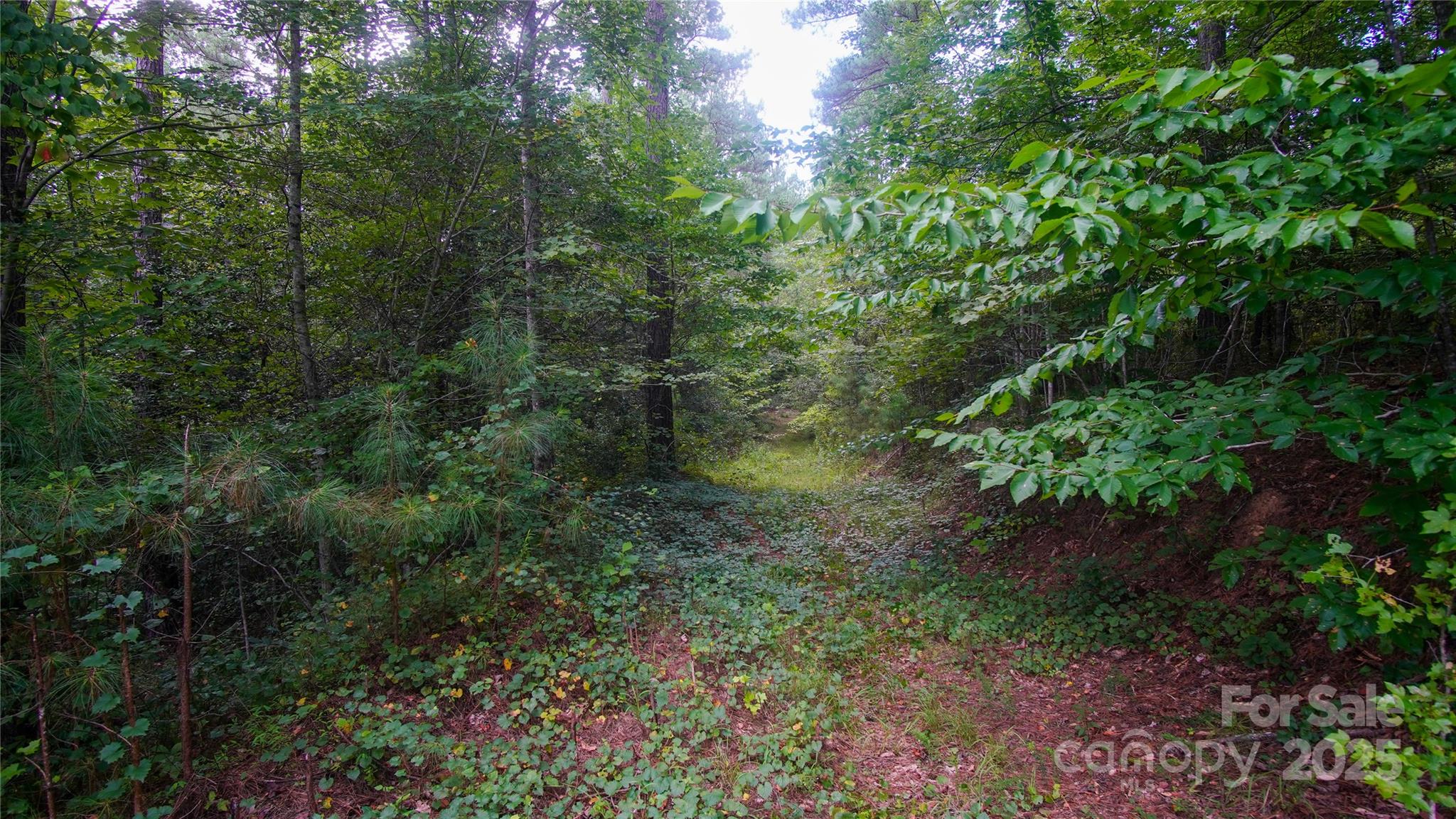 00 Scenic Drive Granite Falls NC 28630