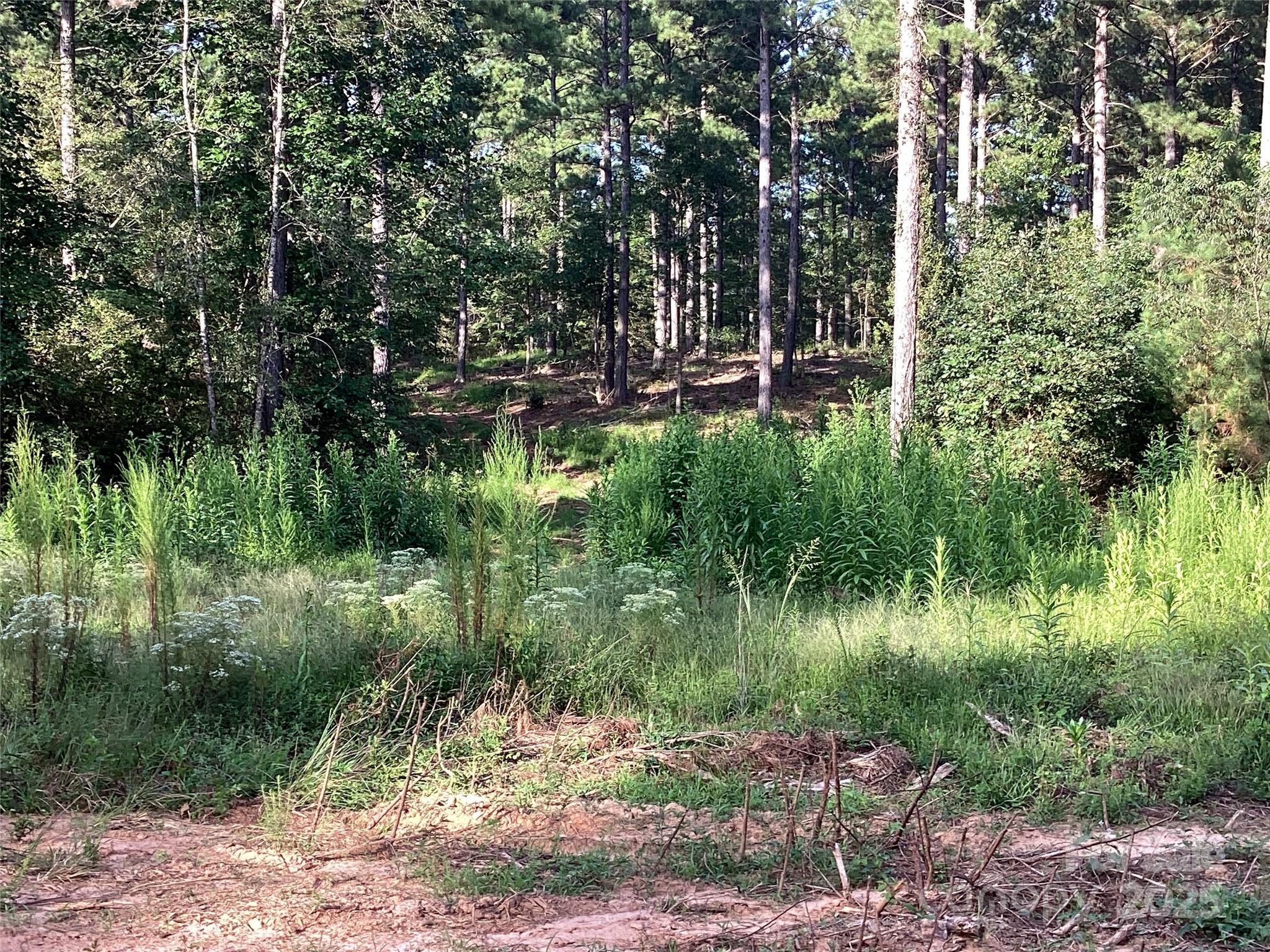 00 Scenic Drive Granite Falls NC 28630