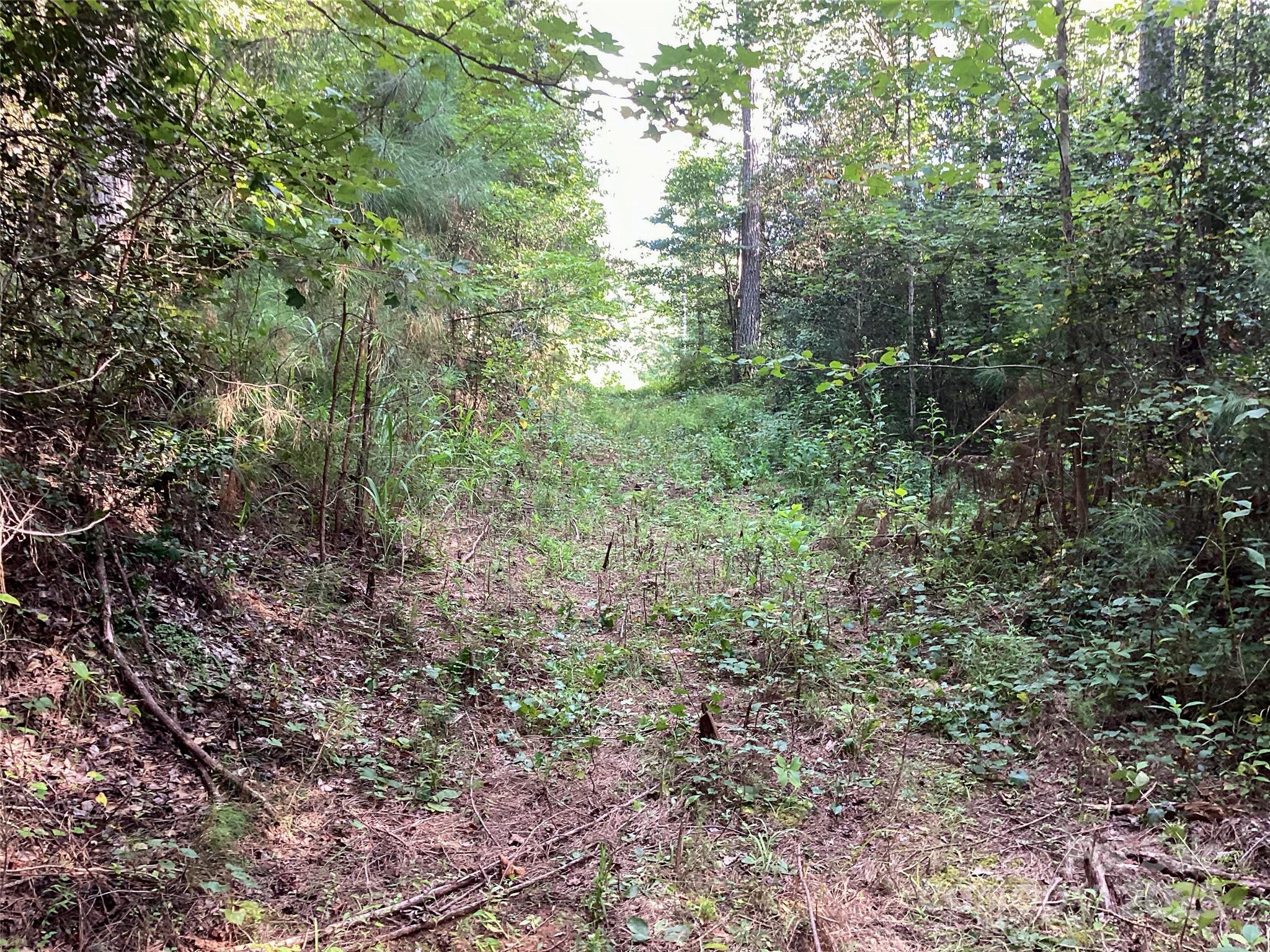 00 Scenic Drive Granite Falls NC 28630