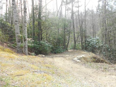 0000 Woodlake Loop Road Elk Park NC 28622