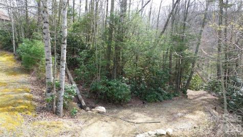 0000 Woodlake Loop Road Elk Park NC 28622