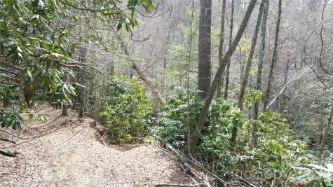 0000 Woodlake Loop Road Elk Park NC 28622