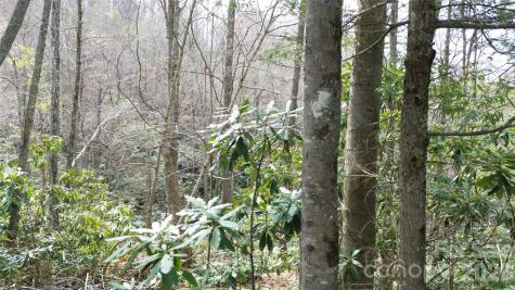 0000 Woodlake Loop Road Elk Park NC 28622