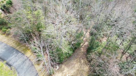 0000 Woodlake Loop Road Elk Park NC 28622