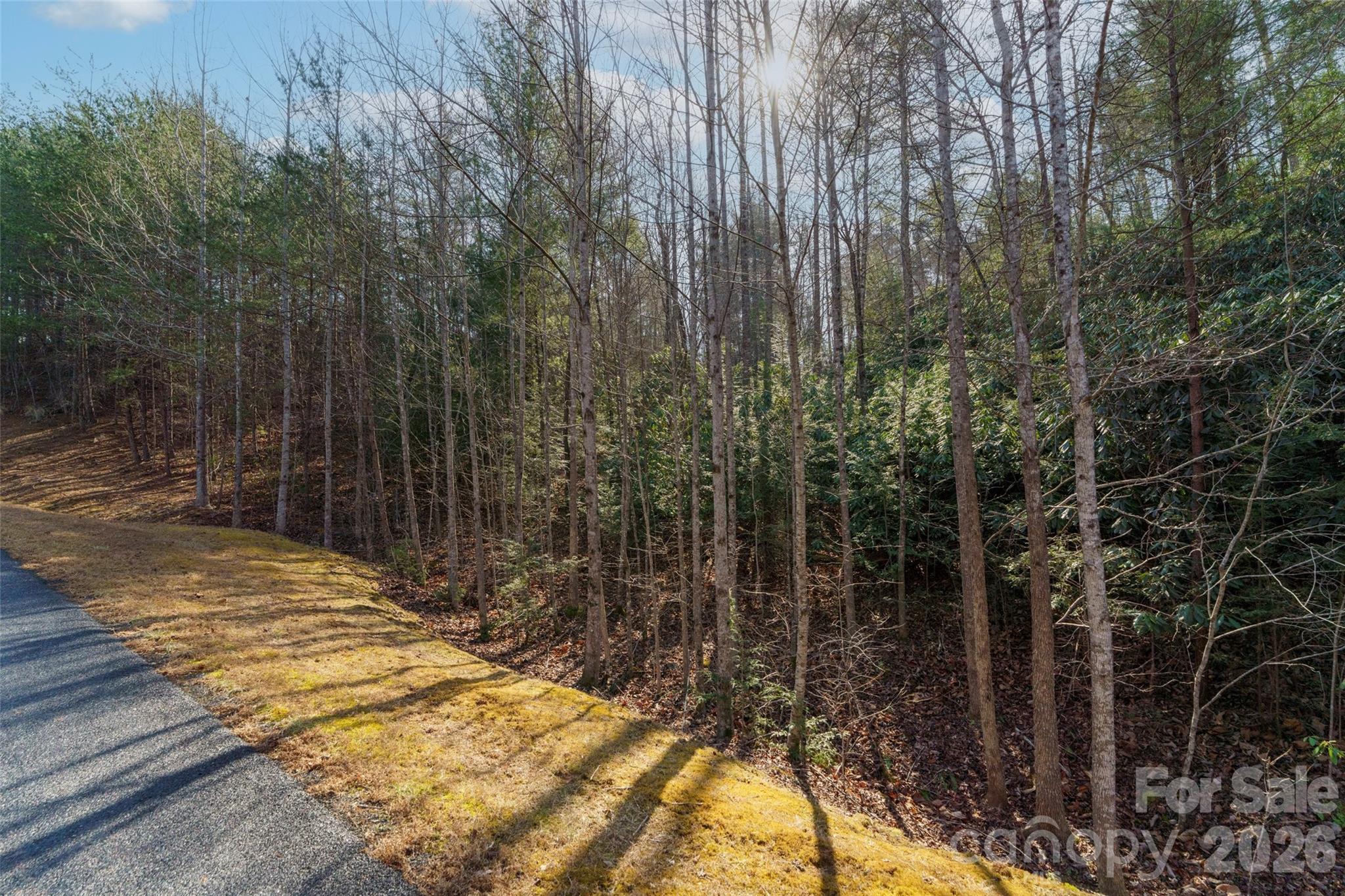 265 Harborside Drive Nebo NC 28761