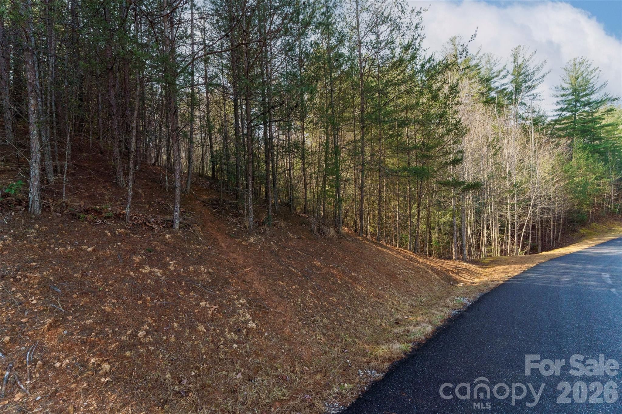 265 Harborside Drive Nebo NC 28761