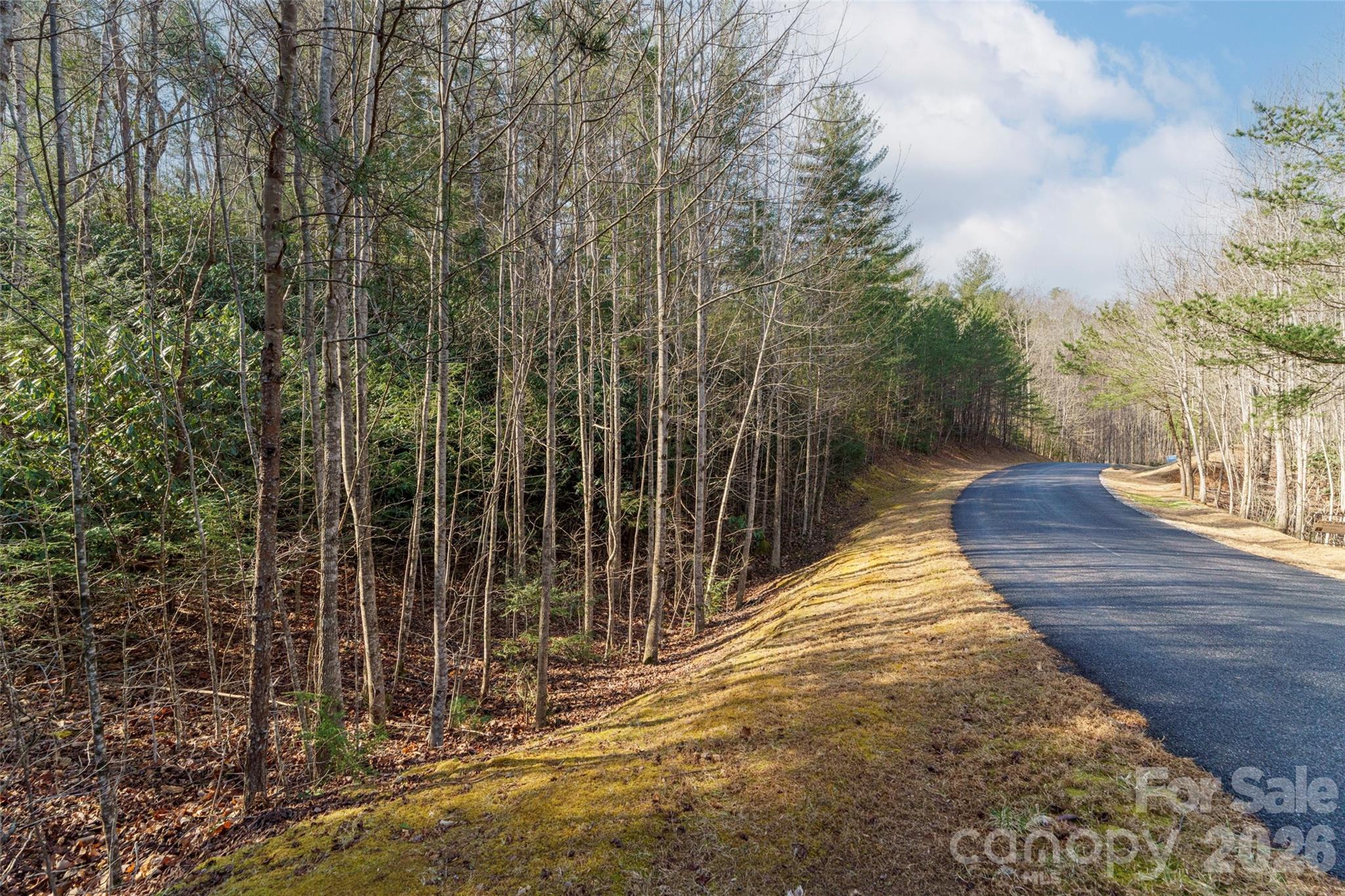 265 Harborside Drive Nebo NC 28761