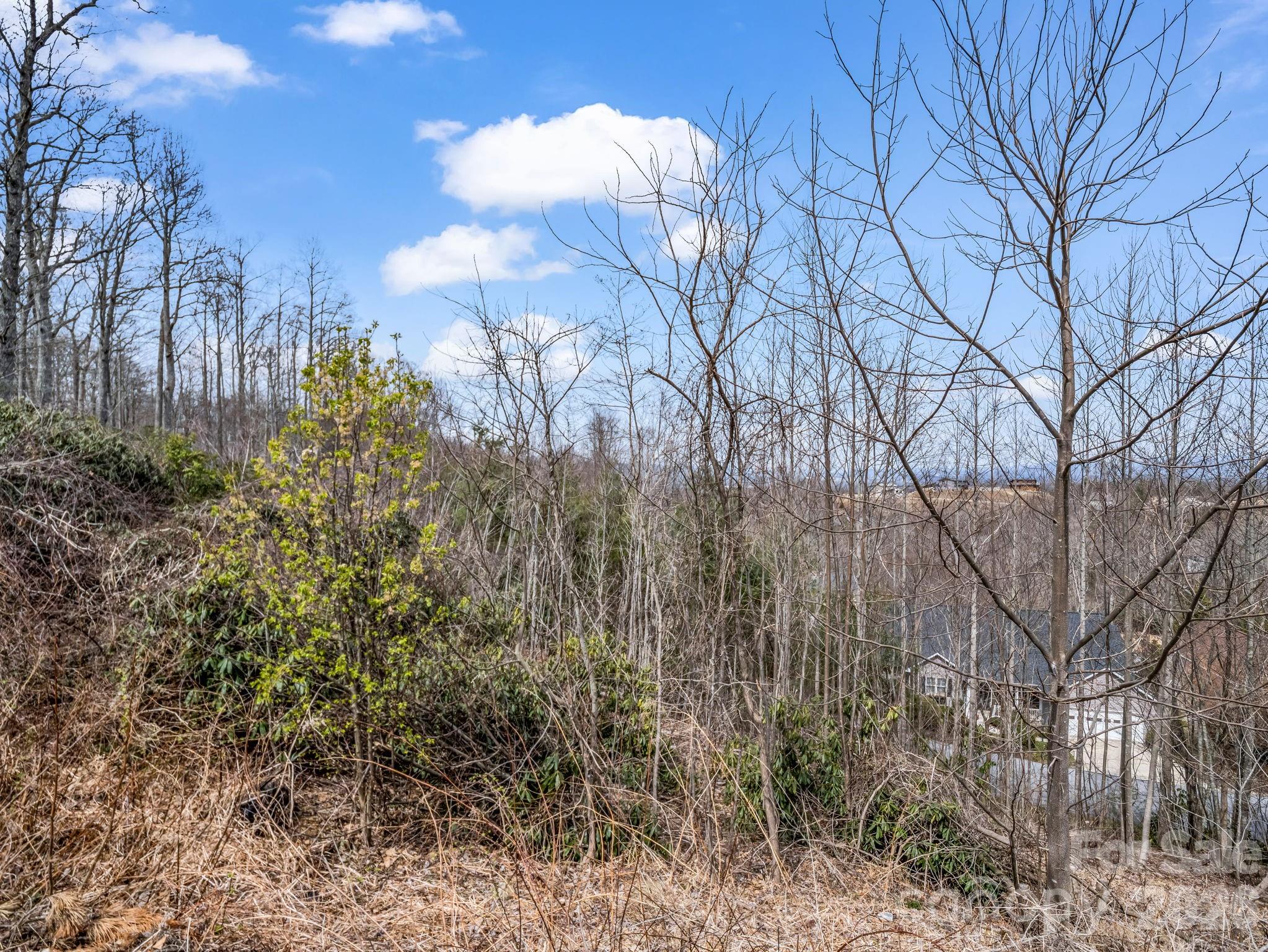 2325 Pommel Road Hendersonville NC 28791