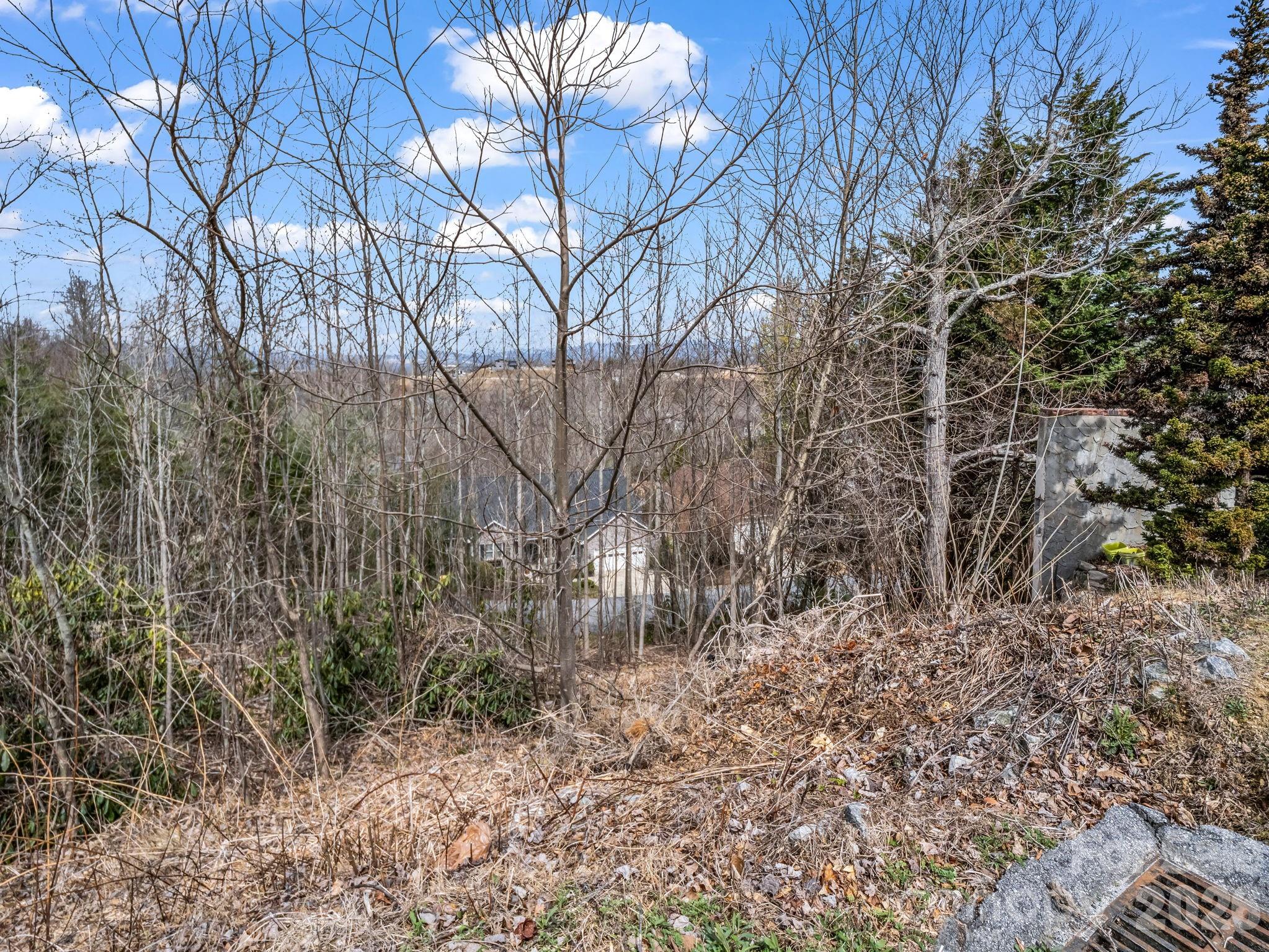 2325 Pommel Road Hendersonville NC 28791