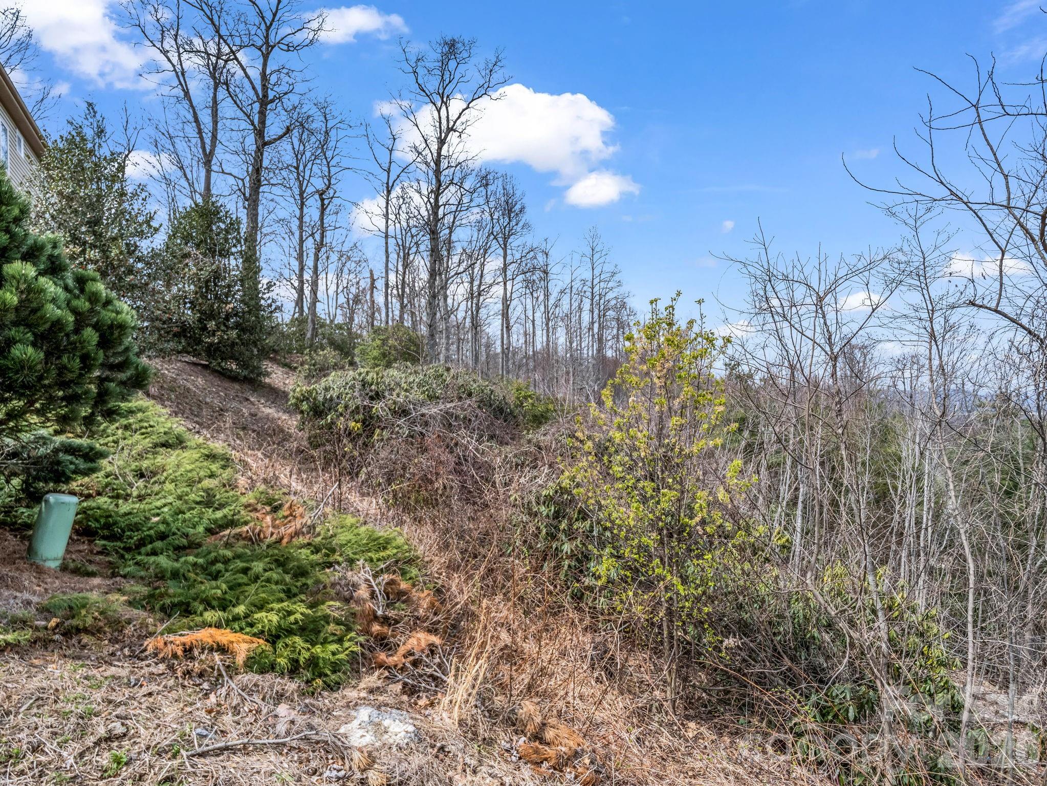 2325 Pommel Road Hendersonville NC 28791