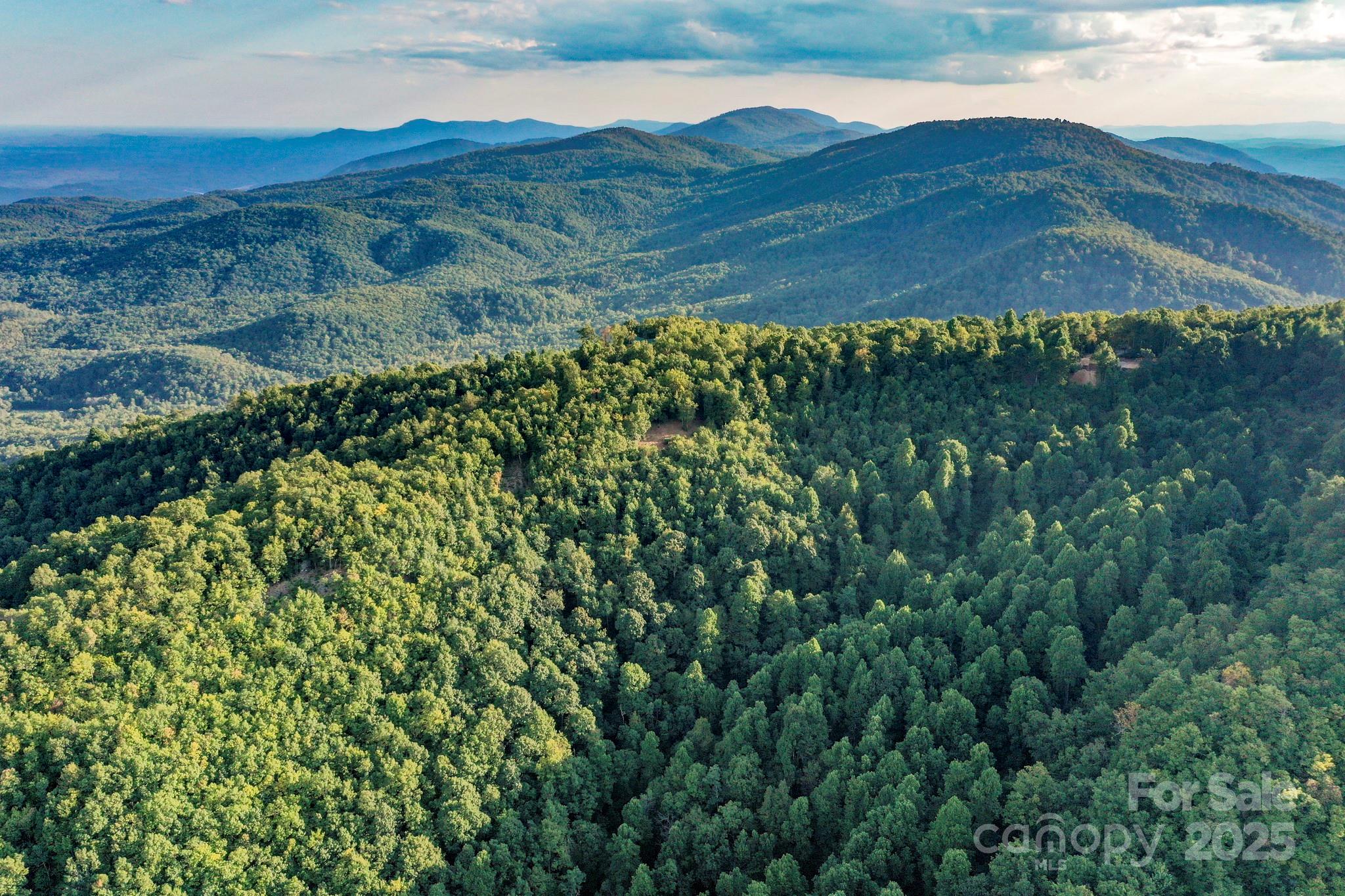 9999 Cliffledge Trail Black Mountain NC 28711