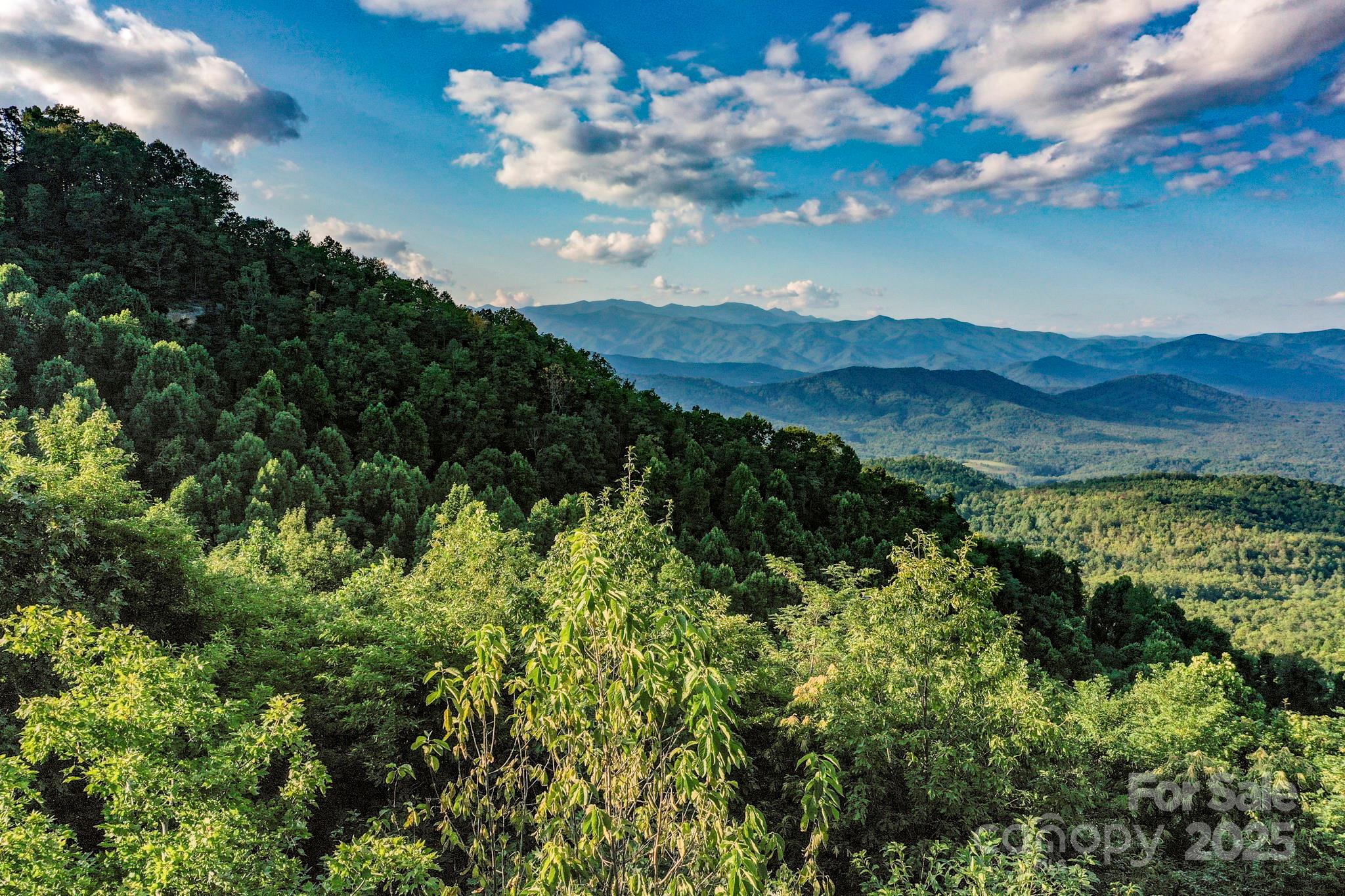 9999 Cliffledge Trail Black Mountain NC 28711