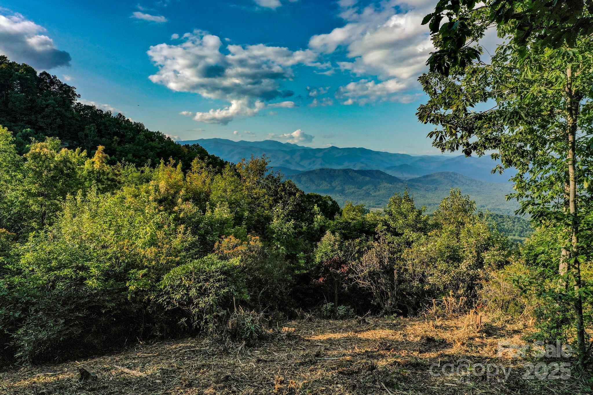 9999 Cliffledge Trail Black Mountain NC 28711