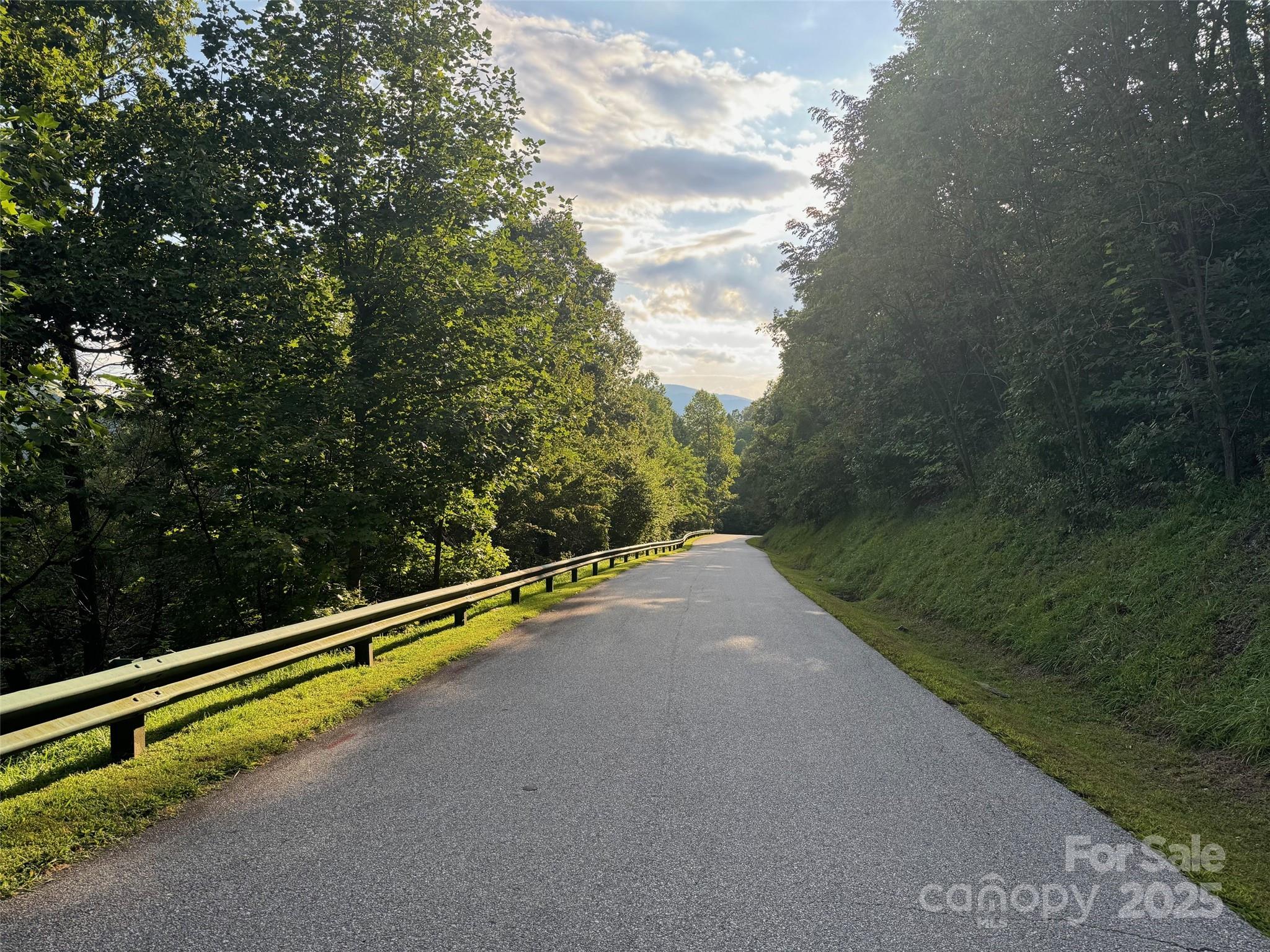 9999 Cliffledge Trail Black Mountain NC 28711