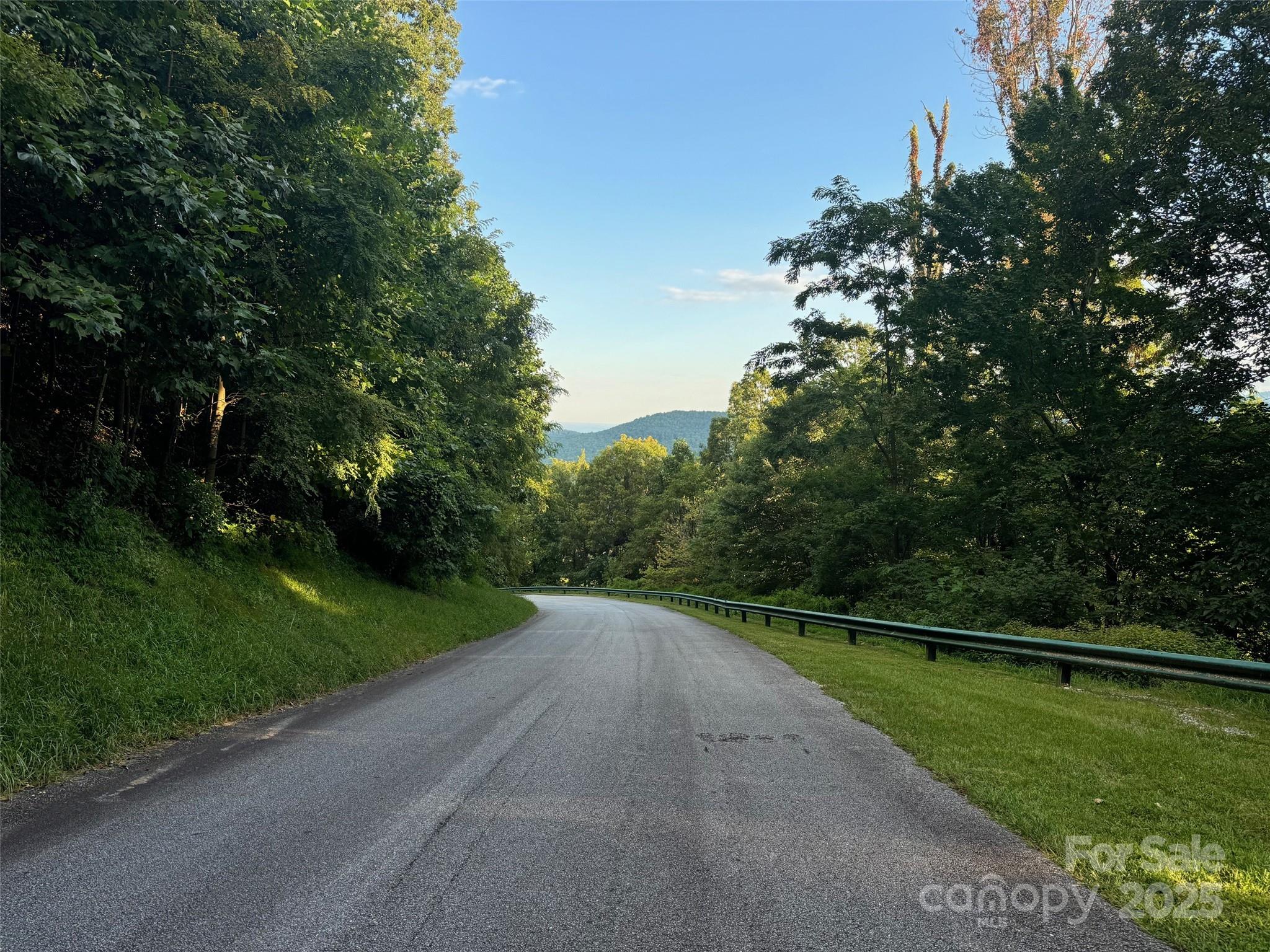 9999 Cliffledge Trail Black Mountain NC 28711