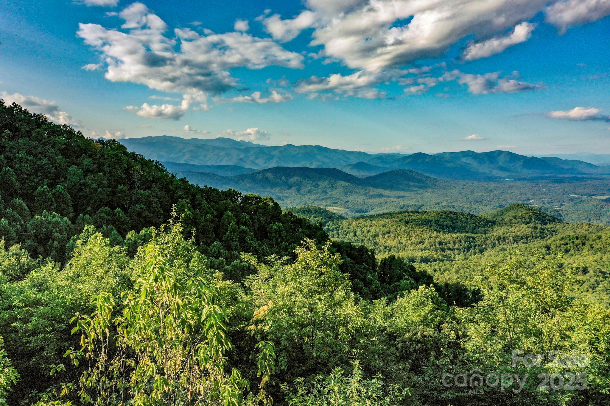 9999 Cliffledge Trail Black Mountain NC 28711