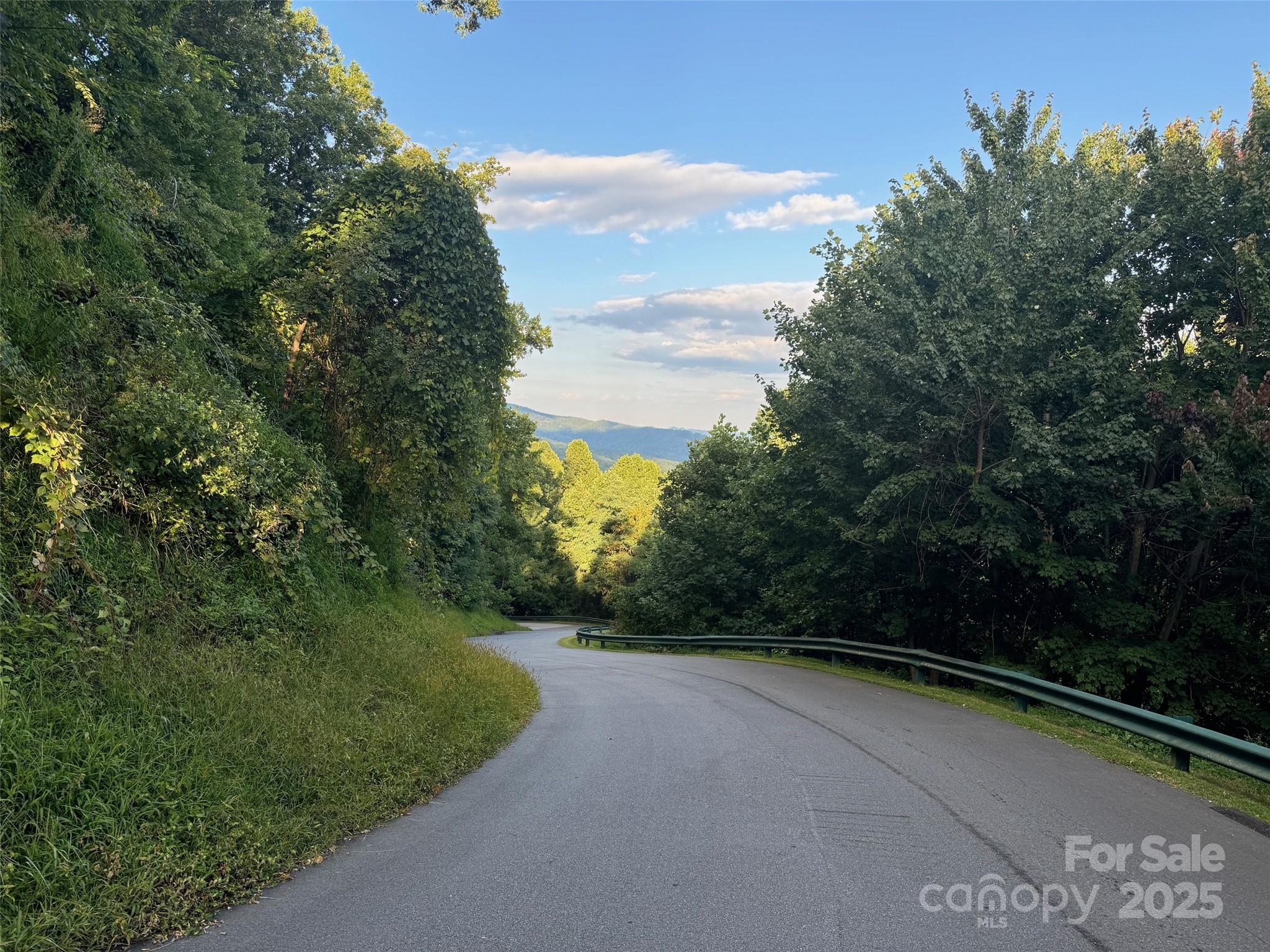 9999 Cliffledge Trail Black Mountain NC 28711