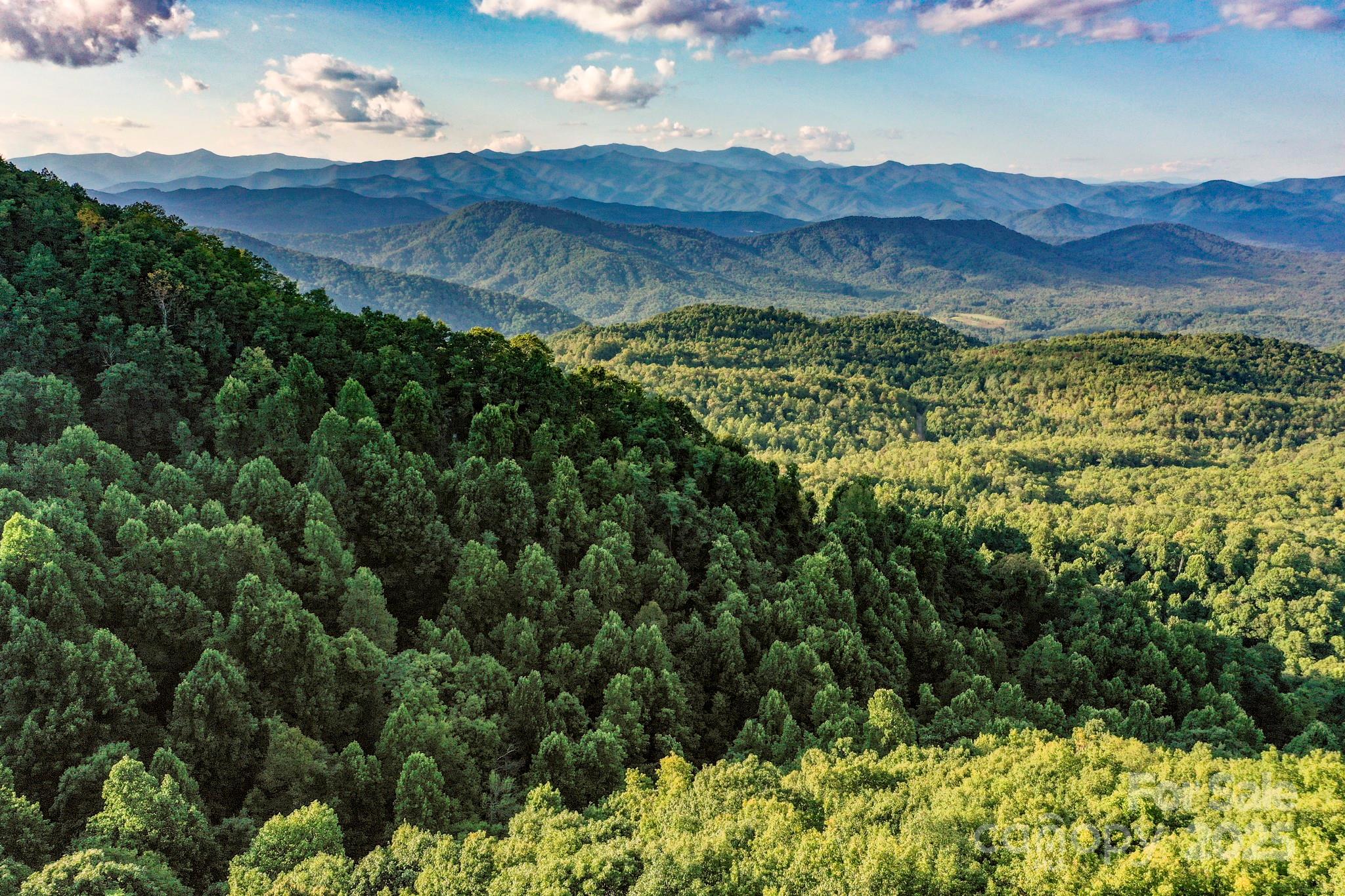 9999 Cliffledge Trail Black Mountain NC 28711