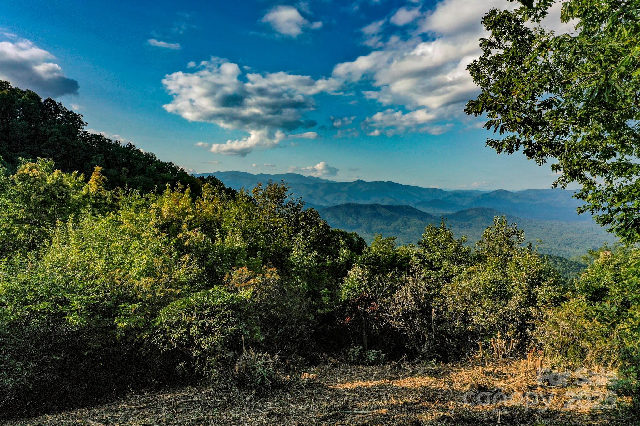 9999 Cliffledge Trail Black Mountain NC 28711
