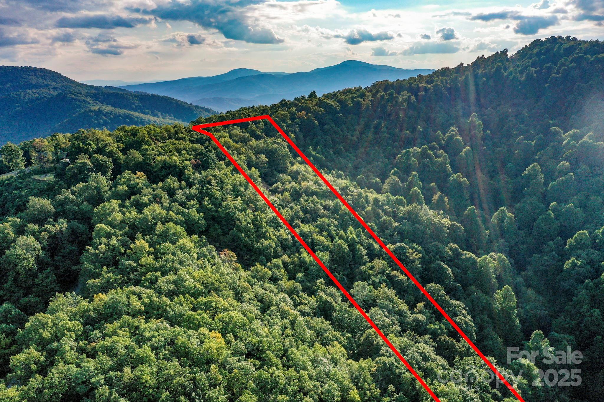 9999 Cliffledge Trail Black Mountain NC 28711