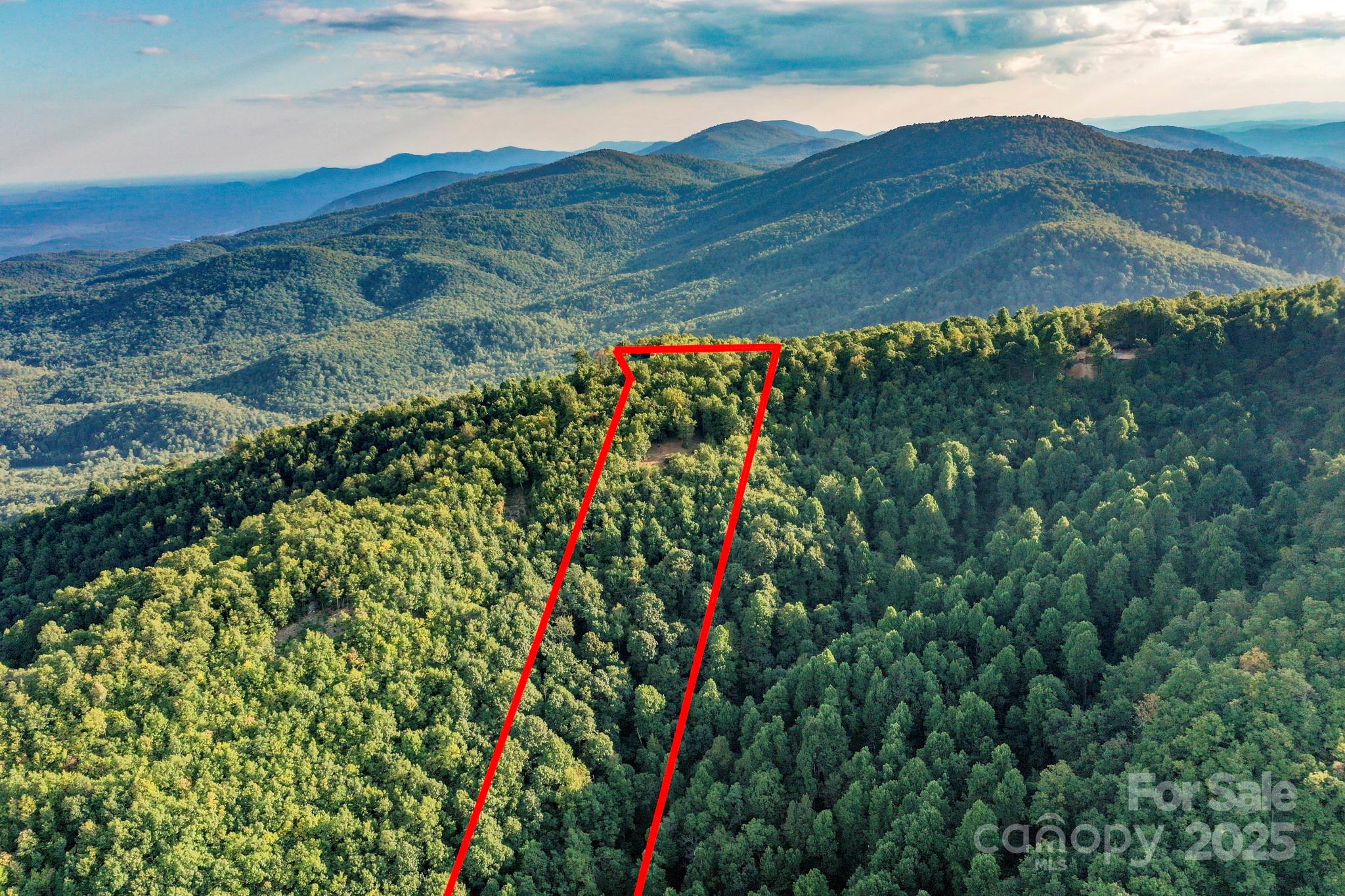9999 Cliffledge Trail Black Mountain NC 28711