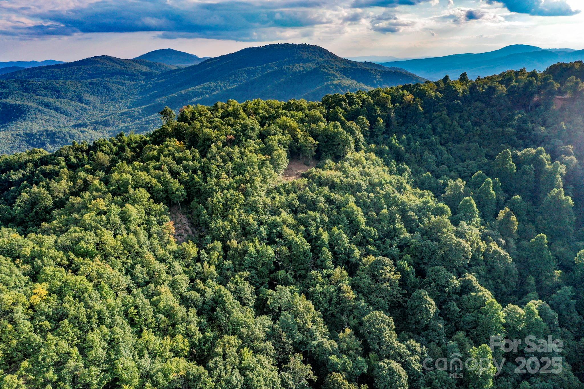 9999 Cliffledge Trail Black Mountain NC 28711