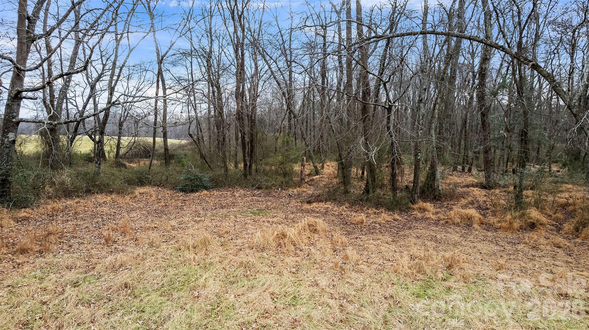 00 Davidson Court Taylorsville NC 28681