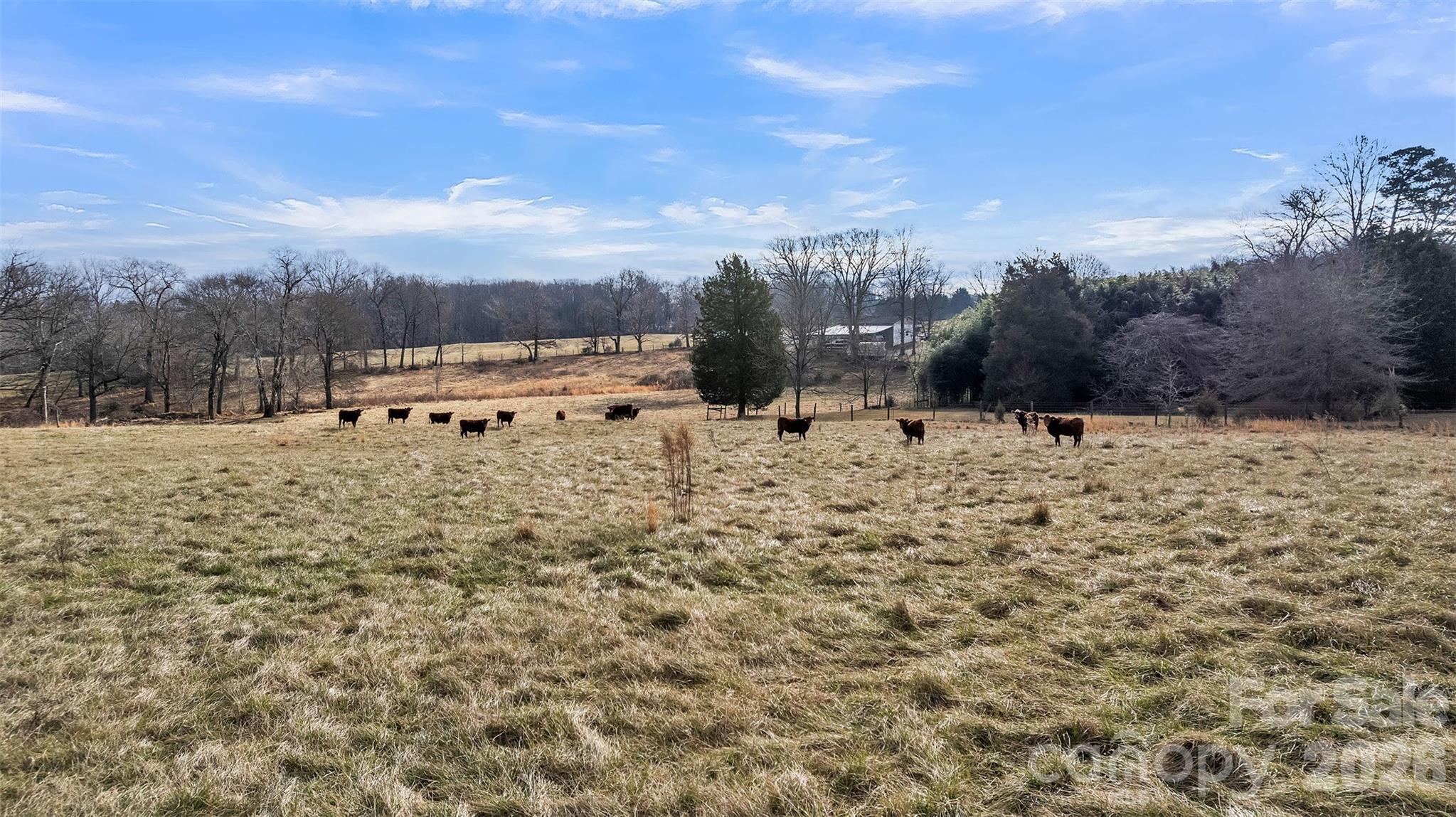 00 Davidson Court Taylorsville NC 28681