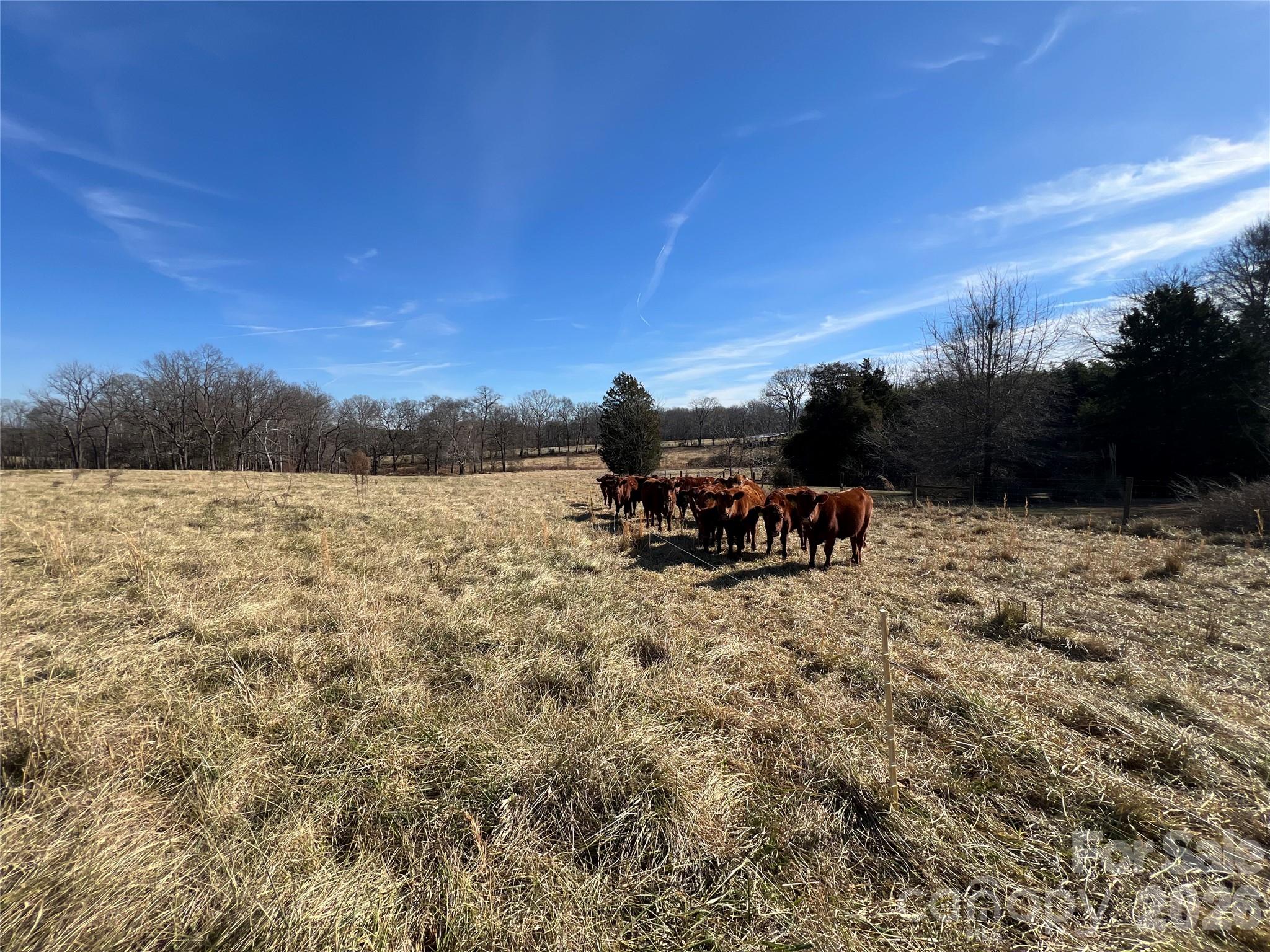 00 Davidson Court Taylorsville NC 28681