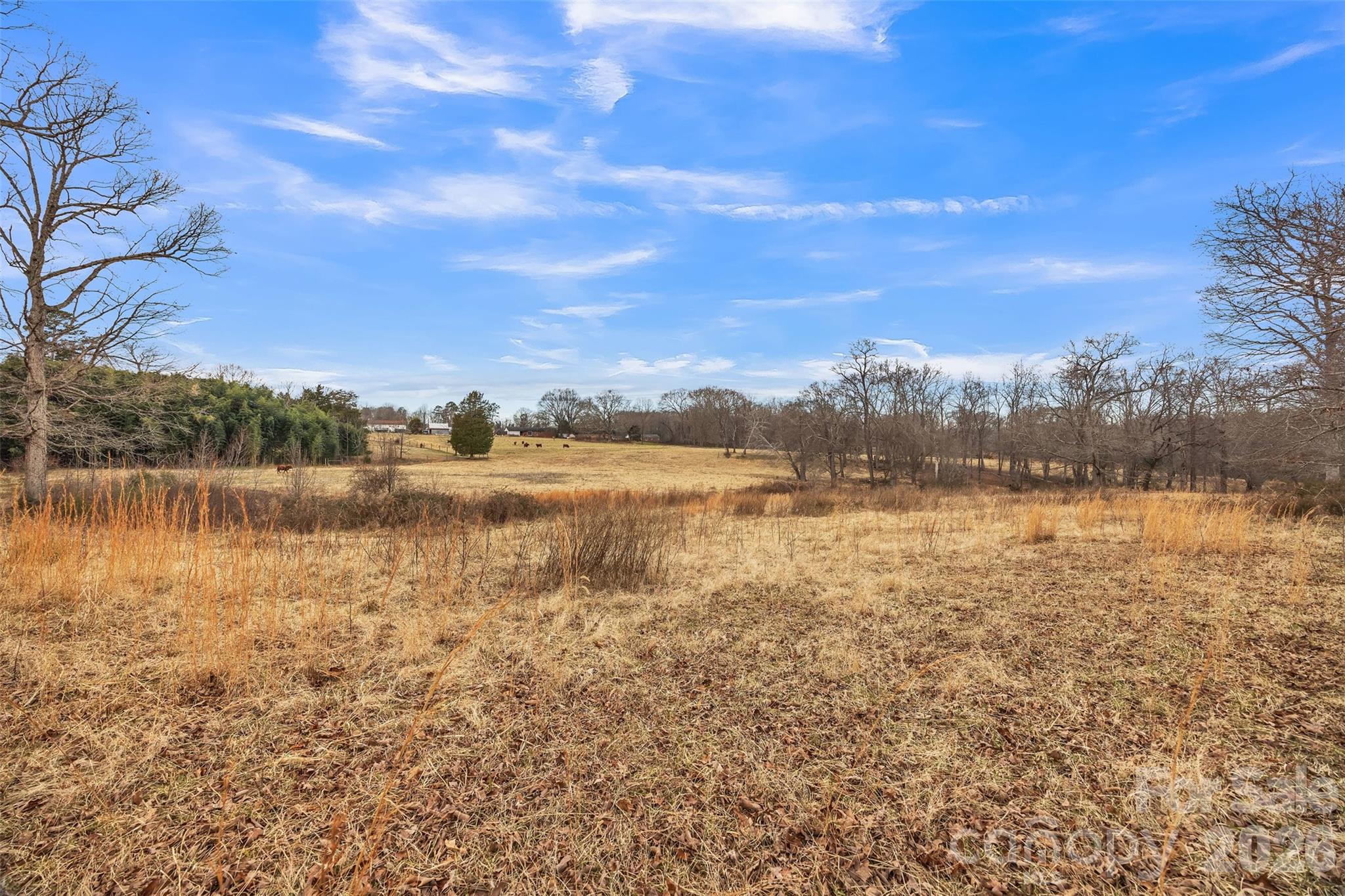 00 Davidson Court Taylorsville NC 28681