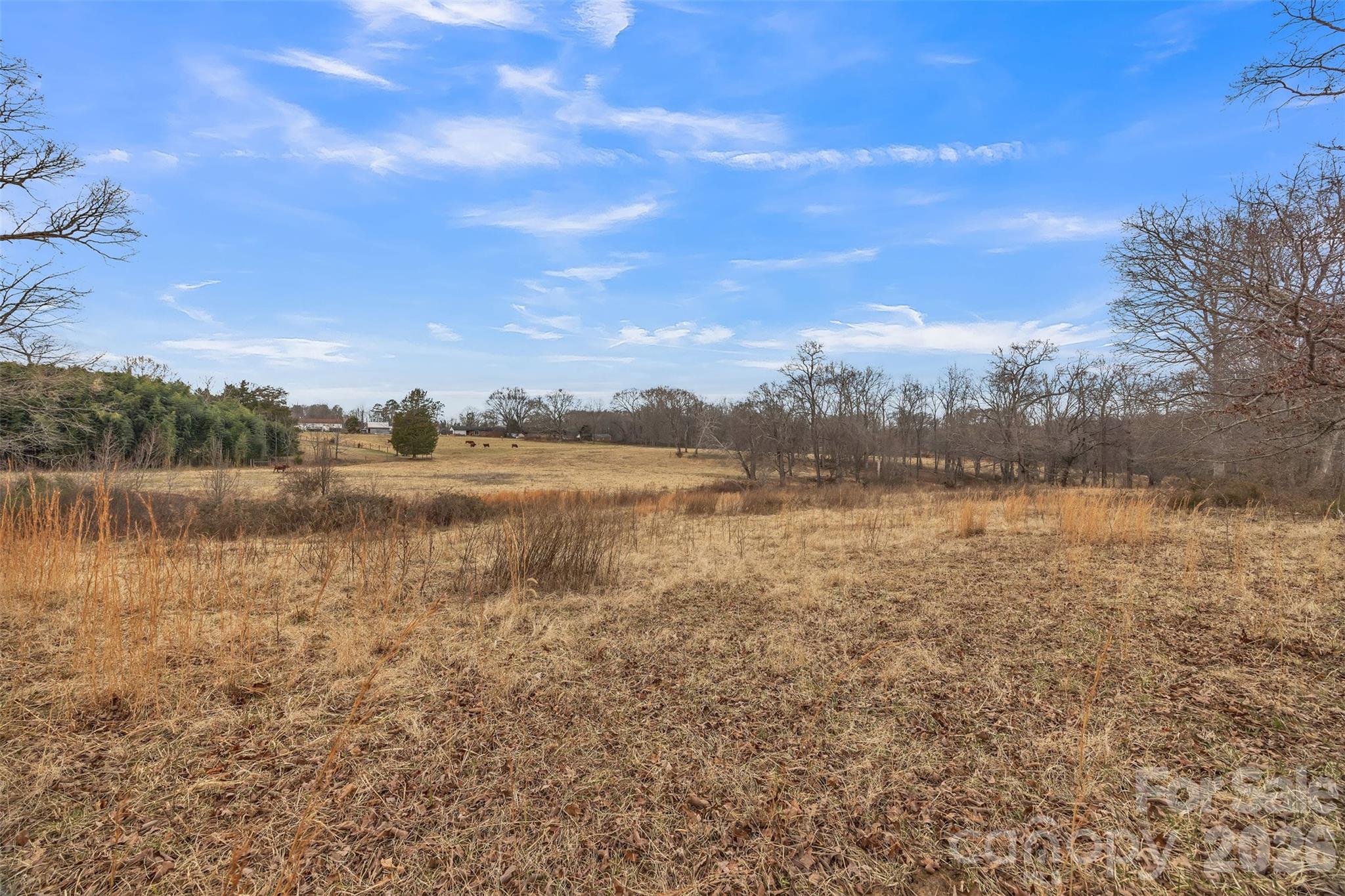 00 Davidson Court Taylorsville NC 28681